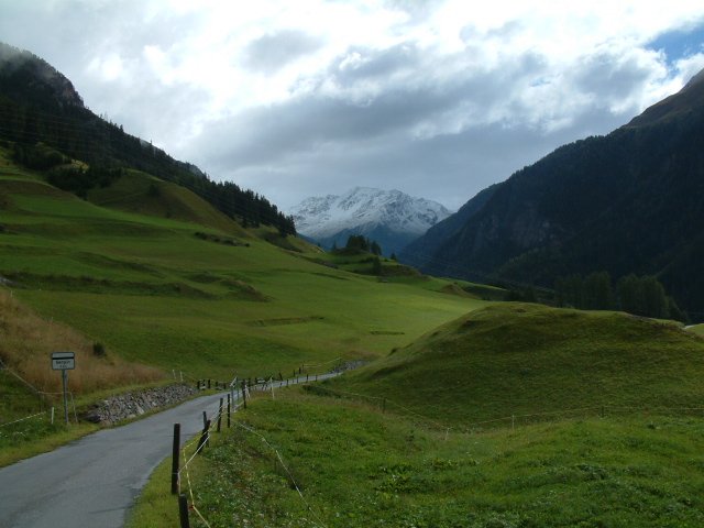Erdők, ahol a lucfenyők nőnek. Faanyagbeszerző út, Svájc, 2006.