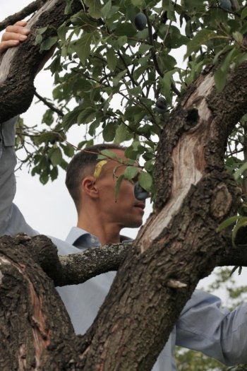 Viktor Koos behind a tree